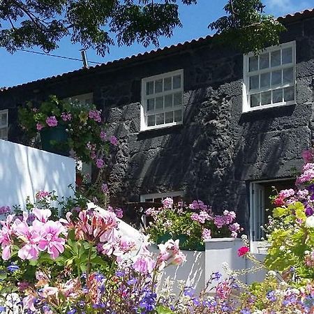 Casa Do Ze - Al Guest House Manadas ภายนอก รูปภาพ