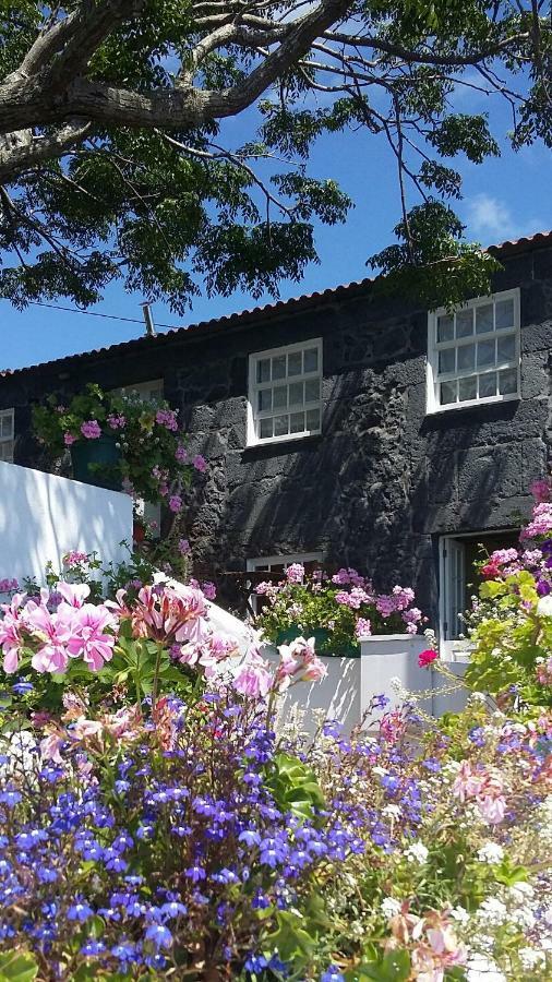 Casa Do Ze - Al Guest House Manadas ภายนอก รูปภาพ
